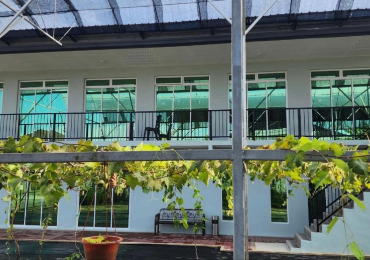 Grapevine Garden Homestay Kota Kinabalu