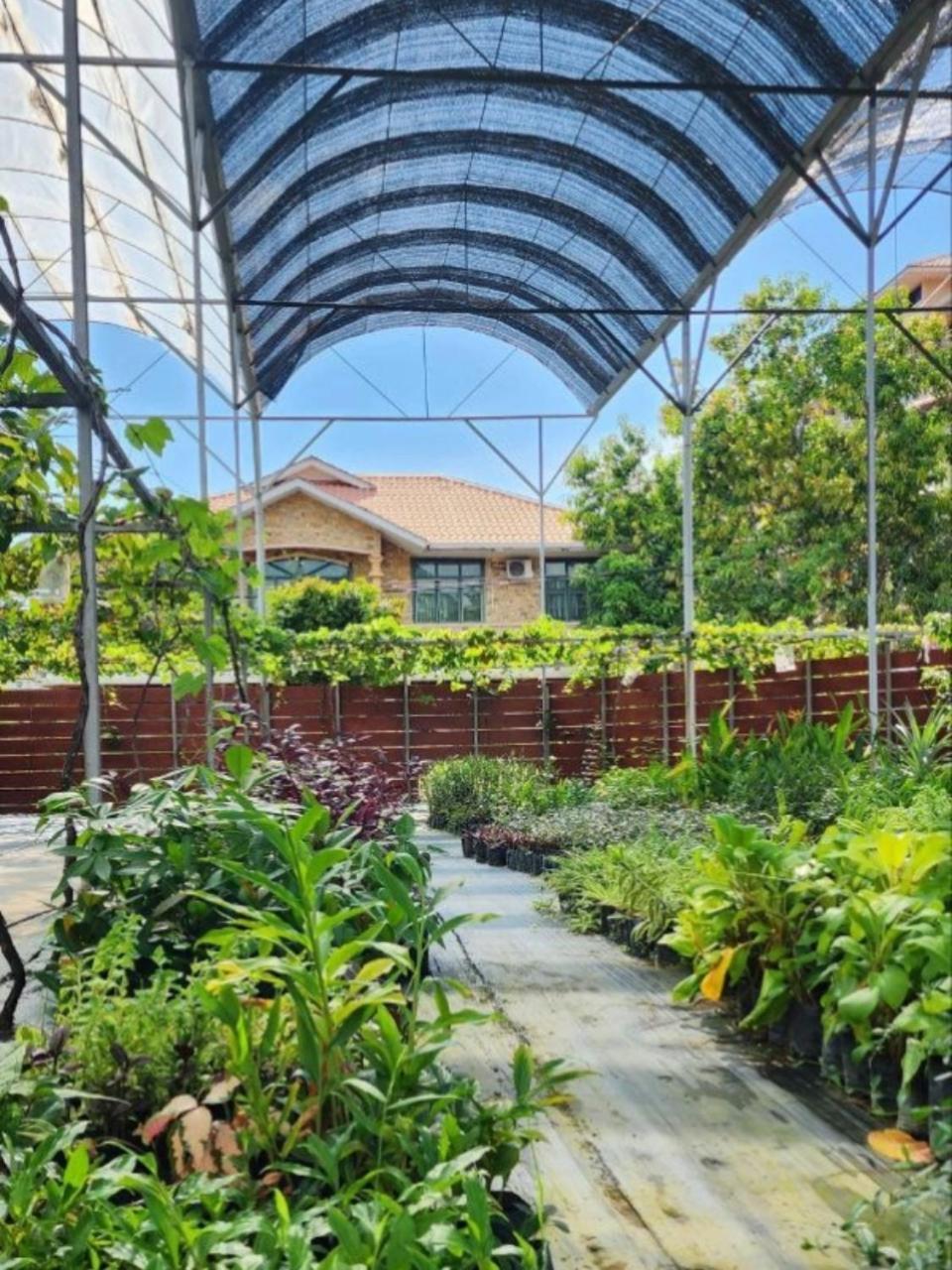Grapevine Garden Kota Kinabalu